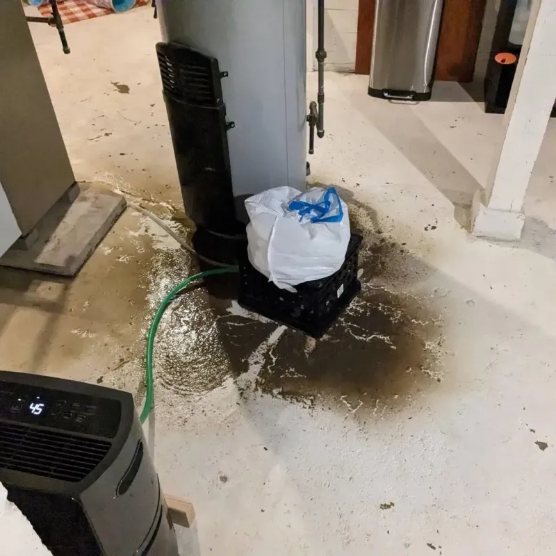 Sewage Backup Cleanup Service in Ridgeland, SC